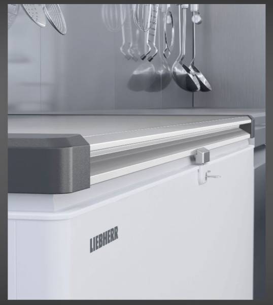Horeca diepvries Liebherr EFL6056-21 vooraanzicht